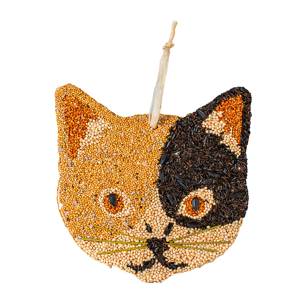 Mr. Bird - Bird Seed Cat Cookies - Findlay Rowe Designs