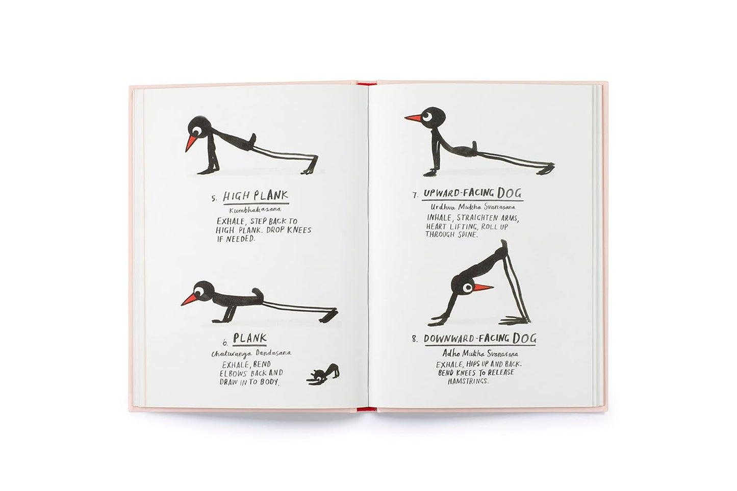 Yoga for Stiff Birds: An Illustrated Approach to Positions, Poses, and Meditations - Findlay Rowe Designs