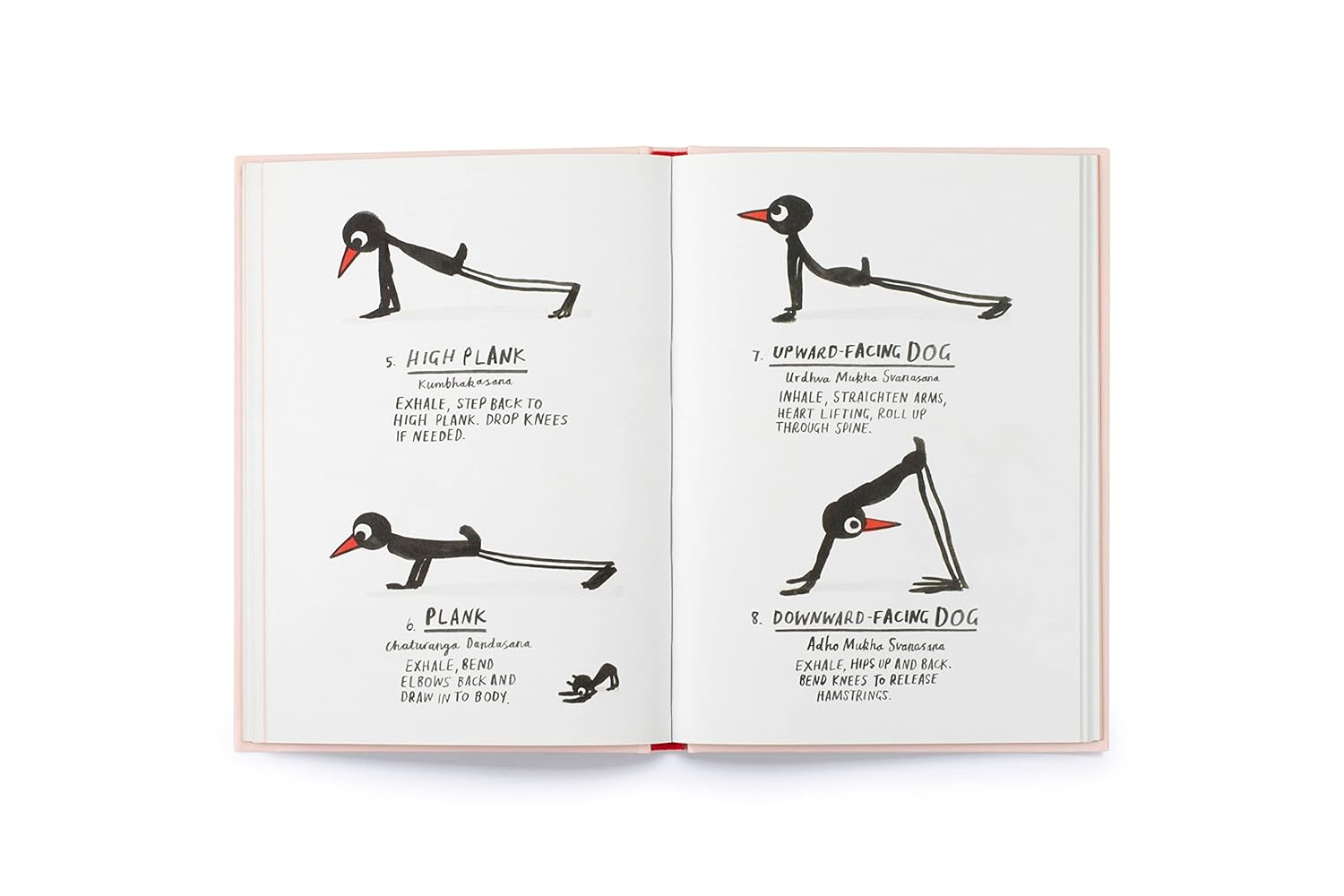 Yoga for Stiff Birds: An Illustrated Approach to Positions, Poses, and Meditations - Findlay Rowe Designs