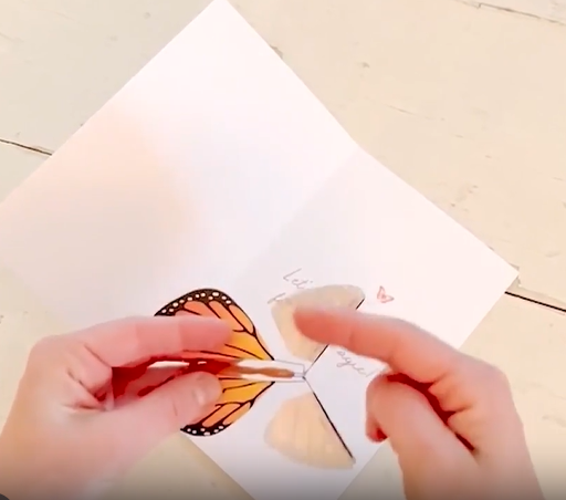 Flying Magic Butterfly - Findlay Rowe Designs