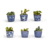 Cachepot - Mini Blue and White