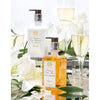 Antica Farmacista - 10oz Body Moisturizer - Prosecco - Findlay Rowe Designs