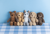 Mud Pie - Plush Mini Dog Breeds - Findlay Rowe Designs