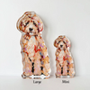 Chelsea McShane - Acrylic Shelfie - Golden Doodle - Classic - Large - Findlay Rowe Designs
