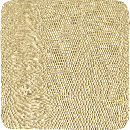 Caspari - coasters - Platinum Lizard - Square - Findlay Rowe Designs