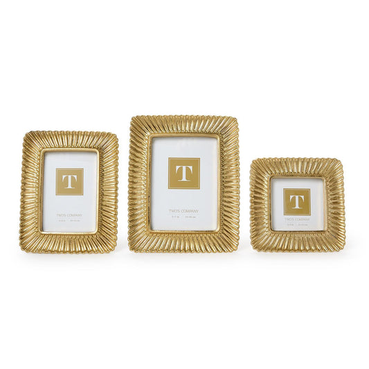 Frame - Sculpted Scalloped Plume - Gold