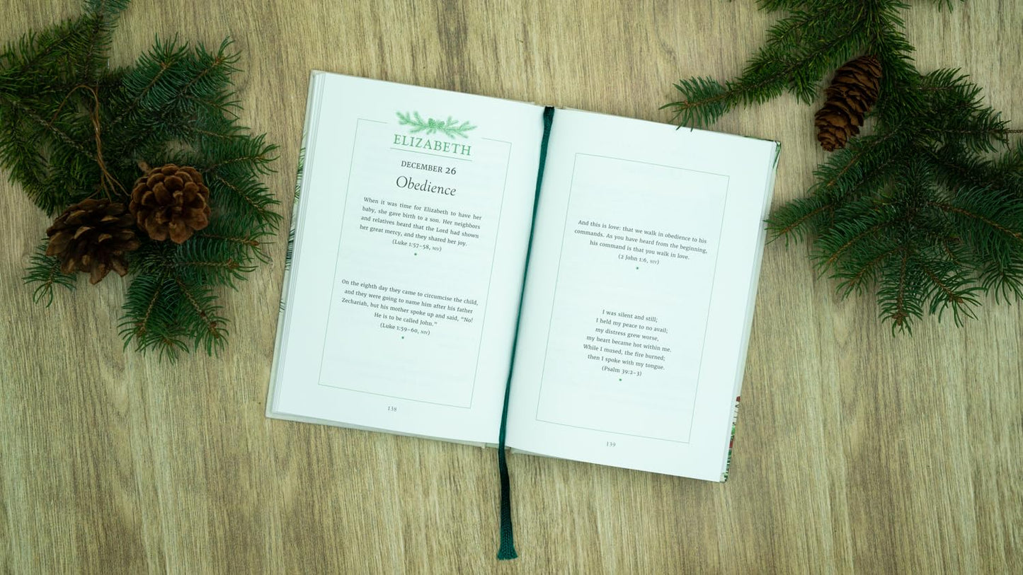 Three Wise Women: 40 Devotions Celebrating Advent with Mary Elizabeth and Anna