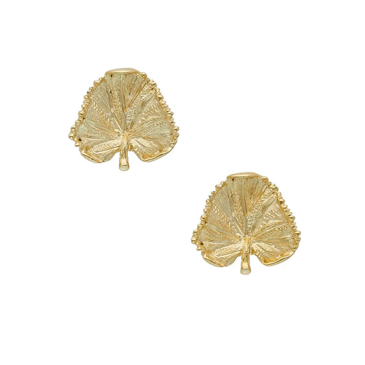 Susan Shaw - Earrings - Leaf -  Gold - Findlay Rowe Designs
