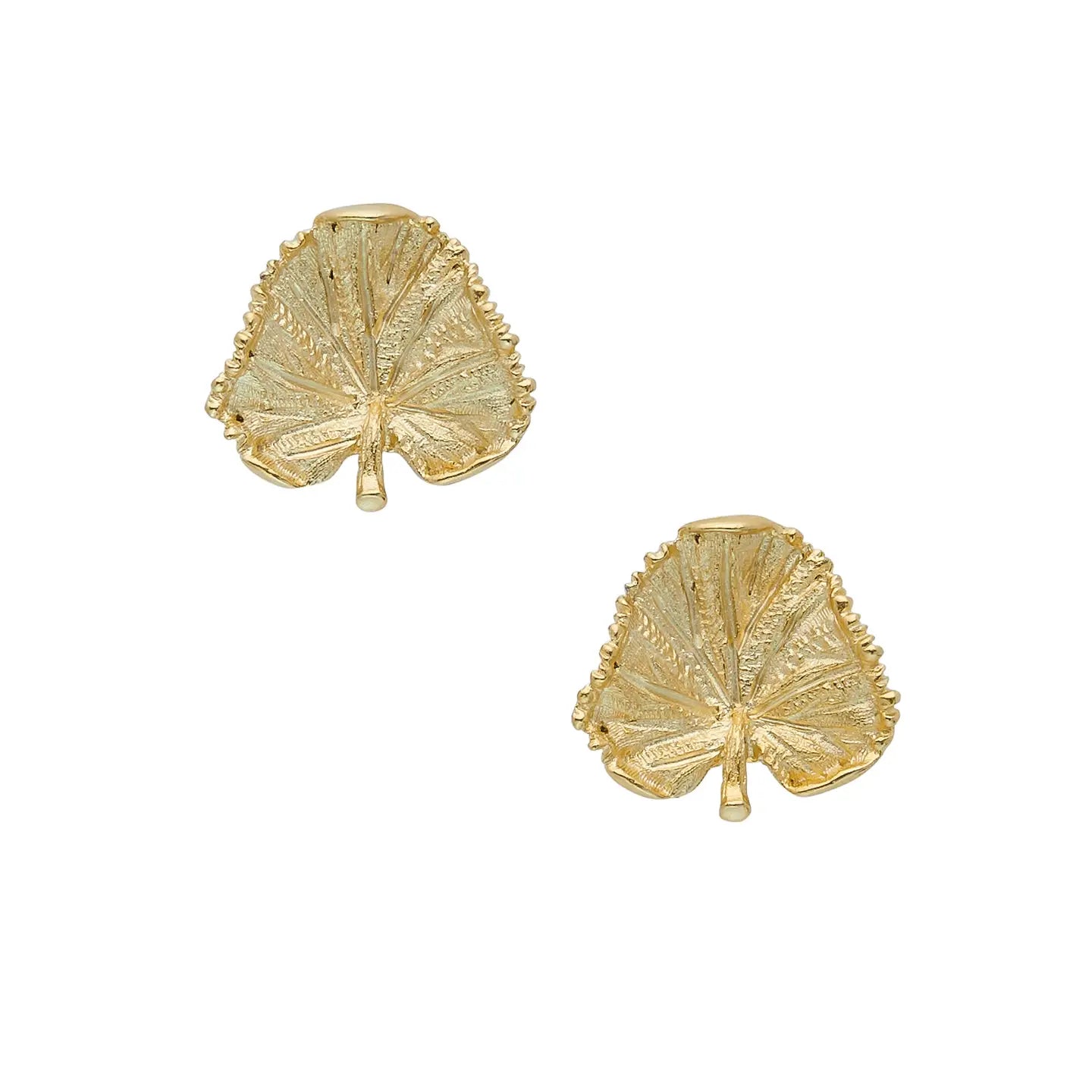 Susan Shaw - Earrings - Leaf -  Gold - Findlay Rowe Designs
