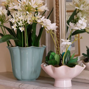 Beatriz Ball - Encanto - Carola Small Pedestal - Camellia and White