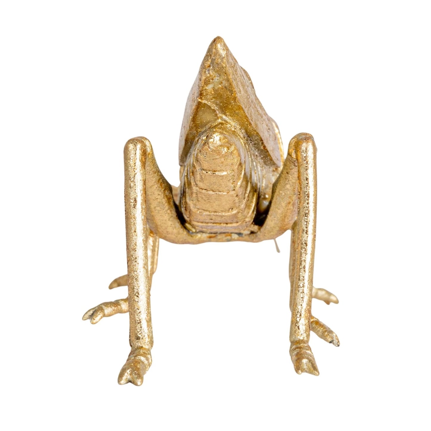 Decorative Gold Grasshopper - Findlay Rowe Designs