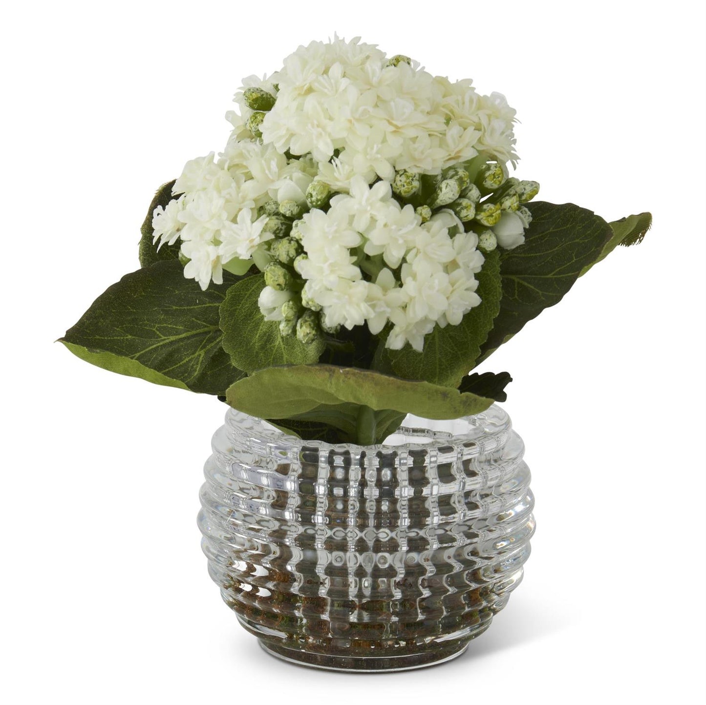 Floral - White Kalanchoe Pressed Glass Vase - 7.5 Inch - Findlay Rowe Designs