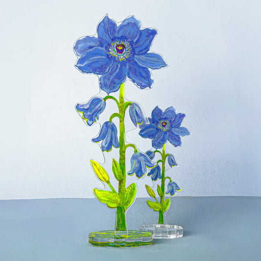 Kimberly Hodges - Acrylic Art - Large Flower - Purple Clematis - Findlay Rowe Designs