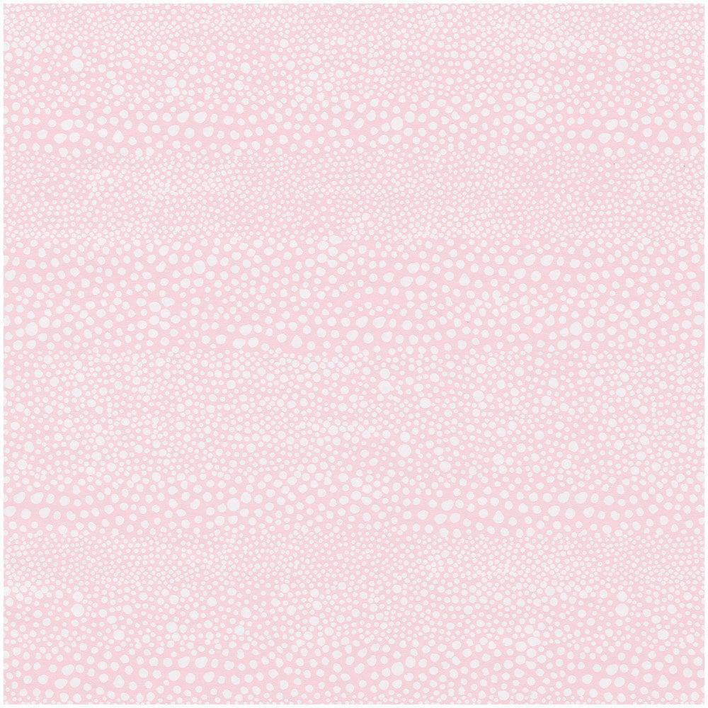 Pebble Shell Pink Gift Wrapping Paper - Findlay Rowe Designs