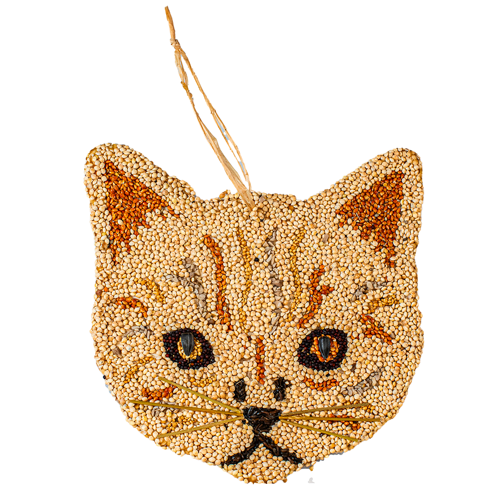 Mr. Bird - Bird Seed Cat Cookies - Findlay Rowe Designs