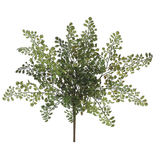 Lace Fern Bush - Green - 16in - Findlay Rowe Designs