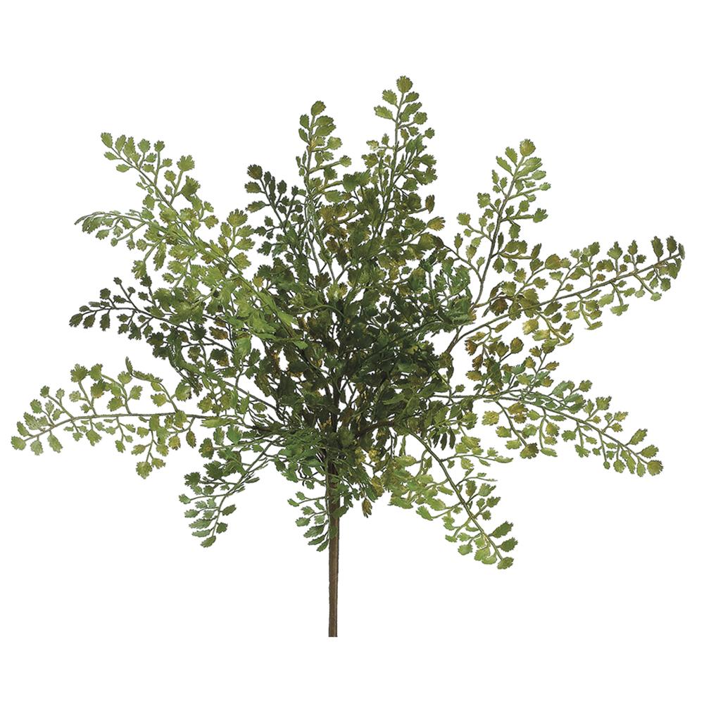 Lace Fern Bush - Green - 16in - Findlay Rowe Designs