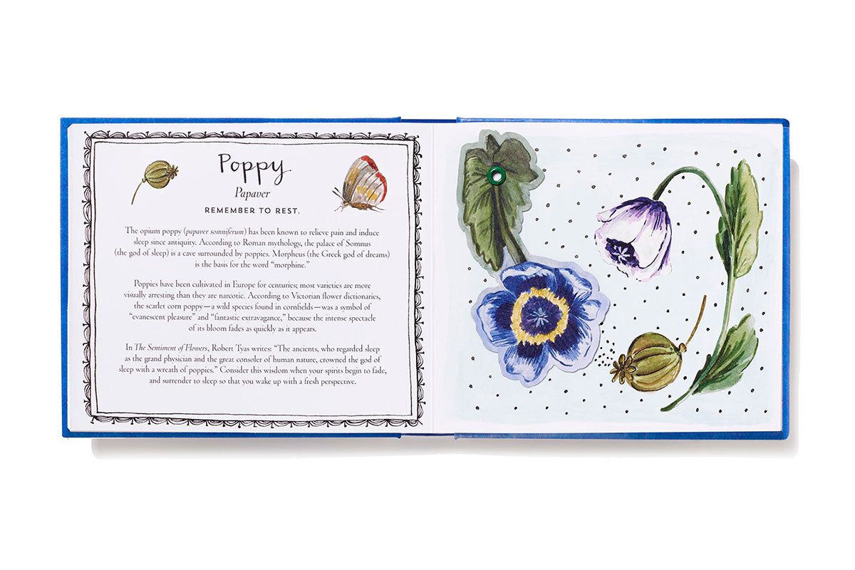 Thinking of You (uplifting edition) Turn this Book into a Bouquet - Findlay Rowe Designs