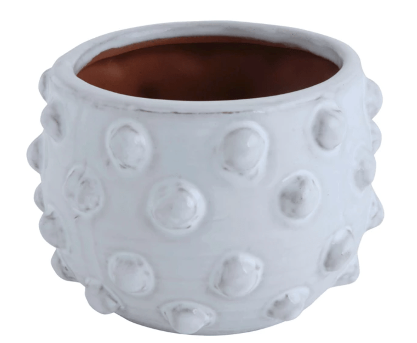 Terracotta Planter with Raised Dots - Findlay Rowe Designs