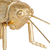 Decorative Gold Grasshopper - Findlay Rowe Designs