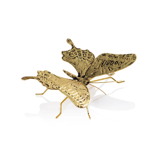Zodax - Decorative Gold Butterfly - Findlay Rowe Designs