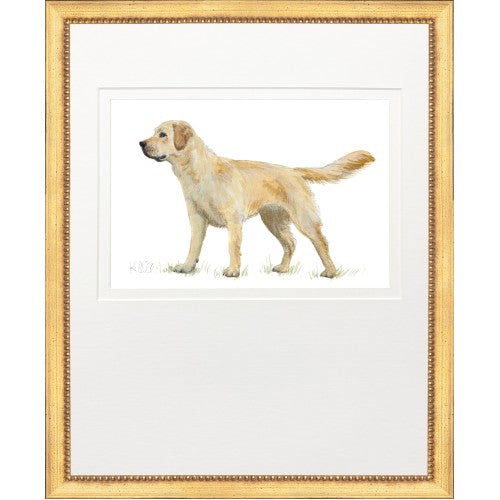 Framed Print - Hunting Dog - Kate Sherrill