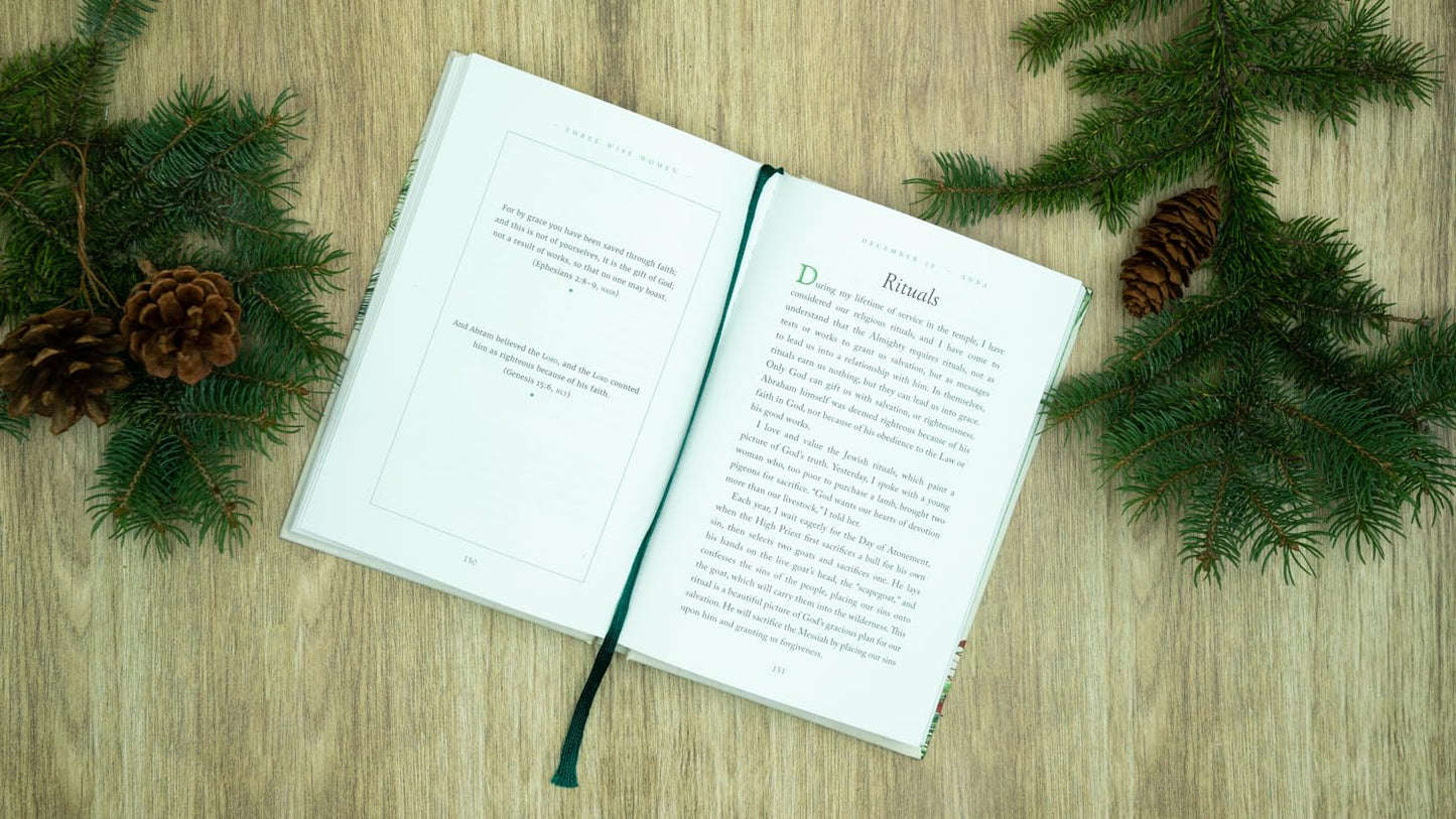 Three Wise Women: 40 Devotions Celebrating Advent with Mary Elizabeth and Anna