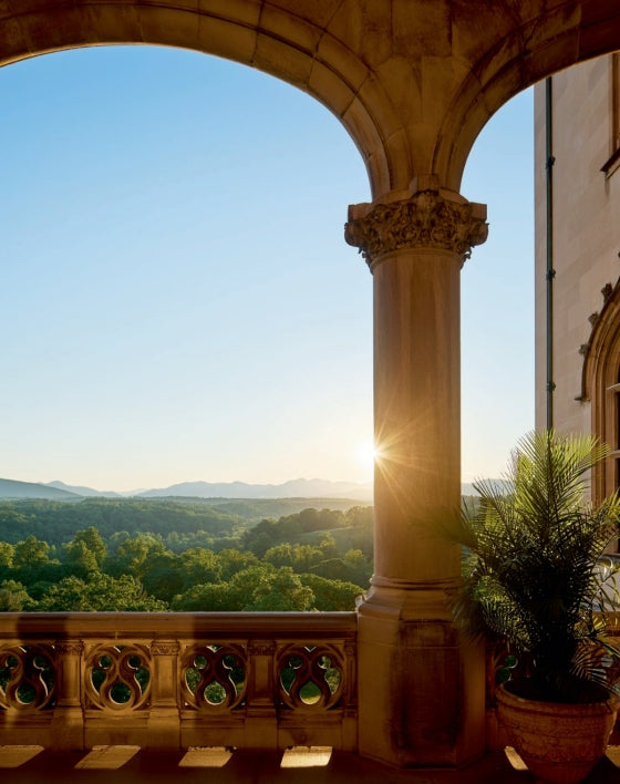 Biltmore House: The Interiors and Collections of George W. Vanderbilt - Findlay Rowe Designs