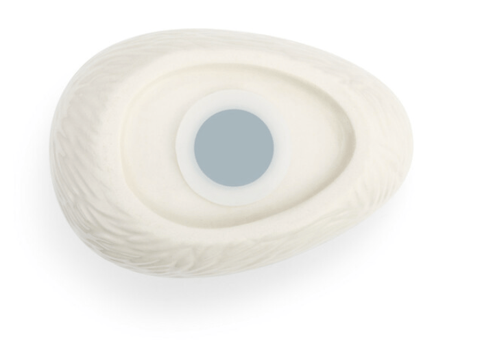 Bank - Nest Egg - Findlay Rowe Designs