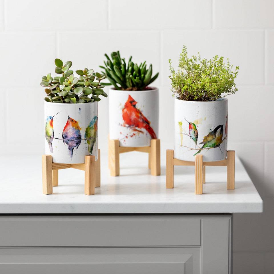 Mini Planter - Hummers on a Wire - Dean Crouser - Findlay Rowe Designs