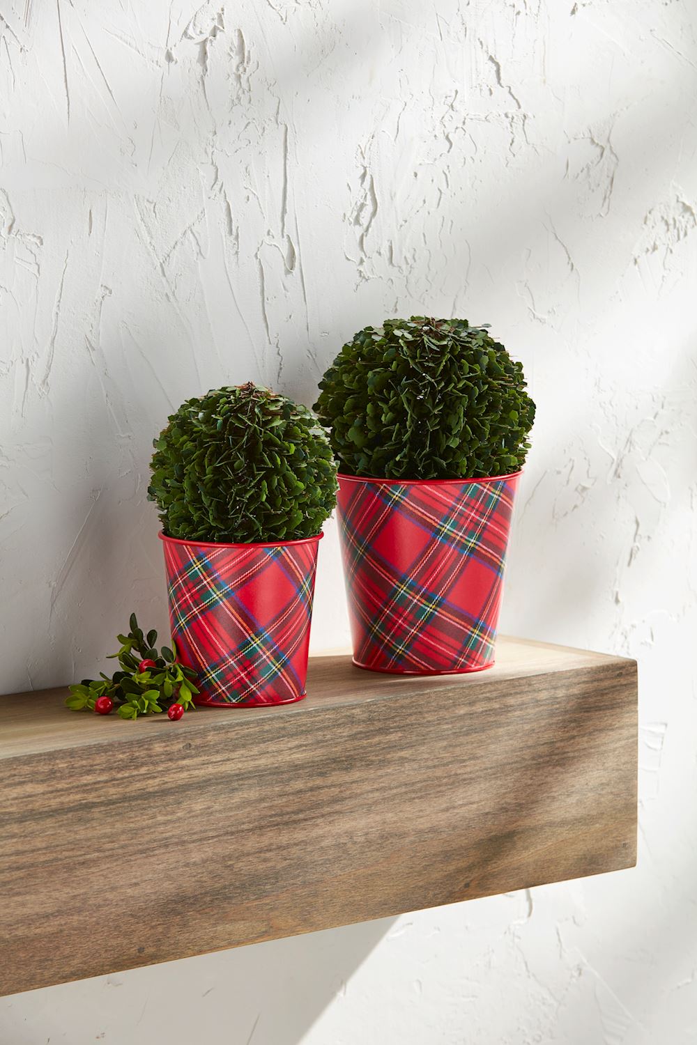 Mud Pie - Boxwood Tartan Pots