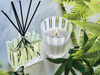 NEST - Classic Candle  8.1 oz - Bamboo - Findlay Rowe Designs