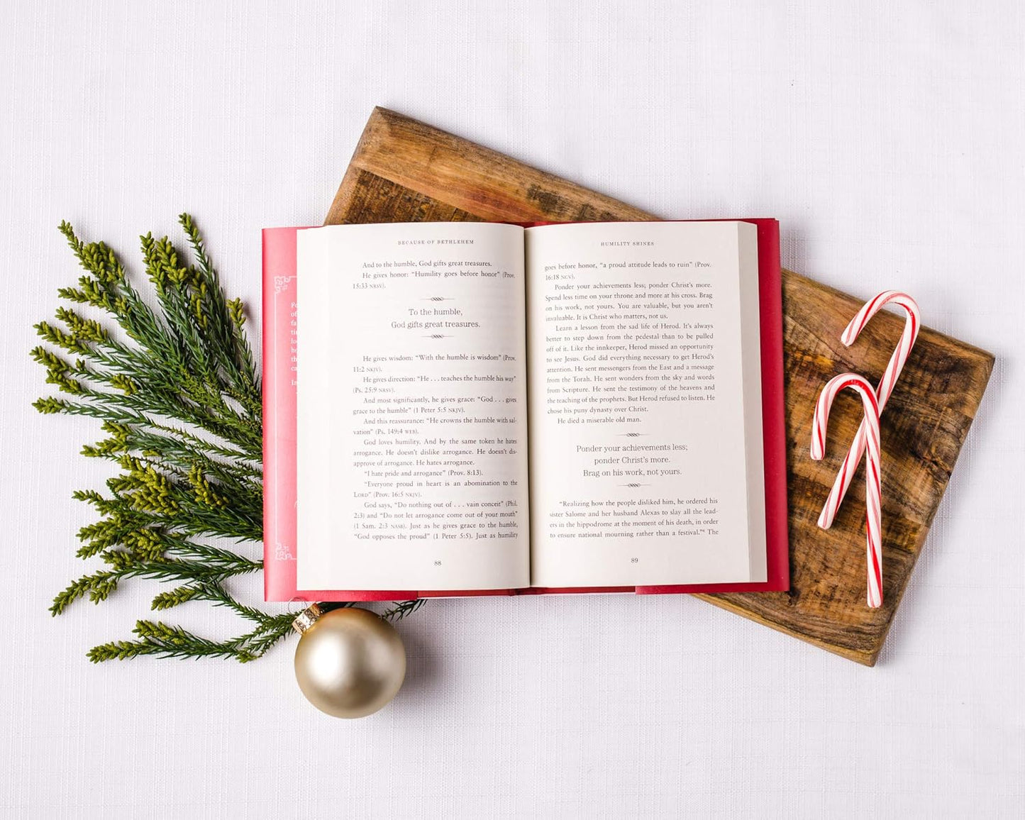 Max Lucado - Because of Bethlehem - Findlay Rowe Designs