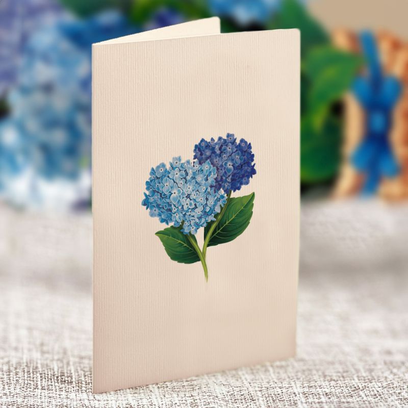 Fresh Cut Paper - Pop Up Bouquet Matching Card - Mini Nantucket Hydrangeas - Findlay Rowe Designs