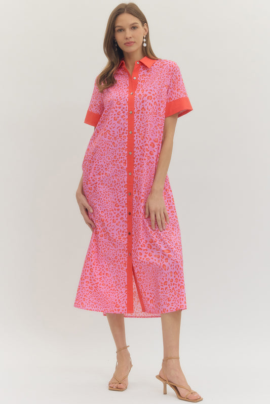 Entro - Dress - Midi Collar Leopard Print - Pink Red - Findlay Rowe Designs