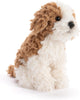 Demdaco - Beanbag Plush - Maltipoo