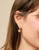 Spartina - Earrings - Chunky Ball Hoops - Findlay Rowe Designs