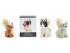 Pick Me Dog Pick Holder with 20 Picks in Gift Box