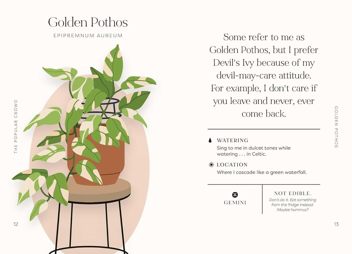 Houseplants and Their F*cked-Up Thoughts - Findlay Rowe Designs