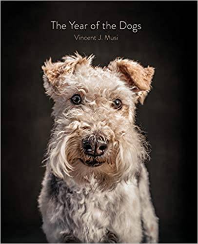 The Year of the Dogs by Vincent J. Musi - Findlay Rowe Designs