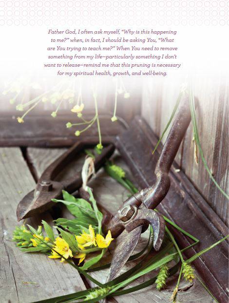Devotions from the Garden: Finding Peace and Rest from Your Hurried Life - Findlay Rowe Designs