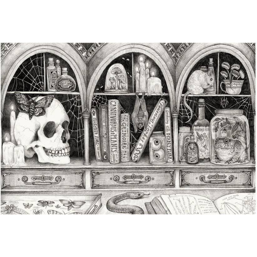 Hester & Cook - Placemat - Cabinet of Curiosities - Findlay Rowe Designs