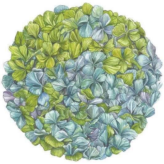 Hester & Cook - HYDRANGEA PLACEMAT 12 SHEETS DIE CUT - Findlay Rowe Designs