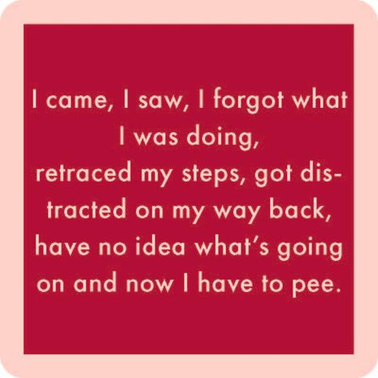 Drinks On Me Coasters - I Came I saw - Findlay Rowe Designs