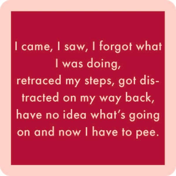 Drinks On Me Coasters - I Came I saw - Findlay Rowe Designs