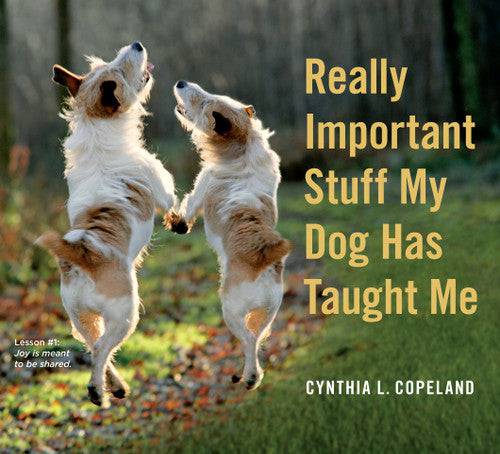 Really Important Stuff My Dog Has Taught Me - Findlay Rowe Designs