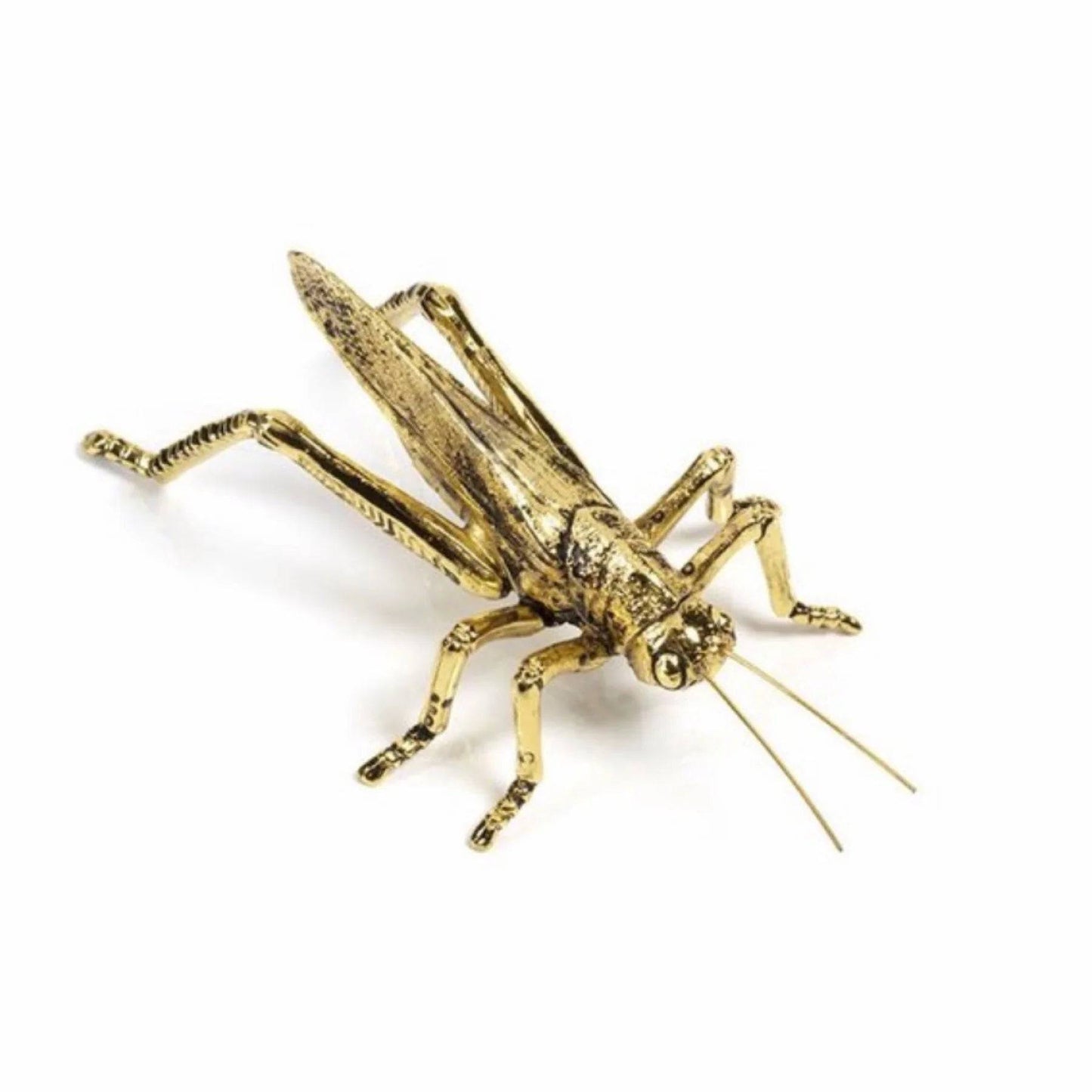 Zodax - Decorative Gold Grasshopper - Findlay Rowe Designs