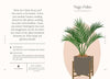 Houseplants and Their F*cked-Up Thoughts - Findlay Rowe Designs