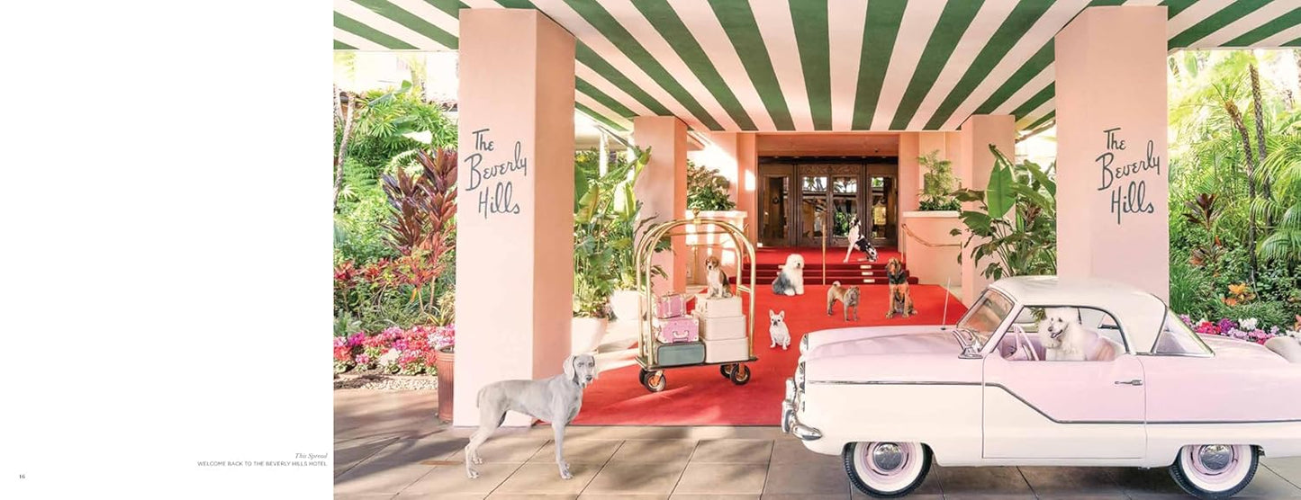 Gray Malin: Dogs: Photographs - Findlay Rowe Designs