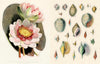 John Derian Sticker Book II - Findlay Rowe Designs